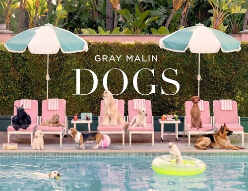 Gray Malin: Dogs (Hardcover)
