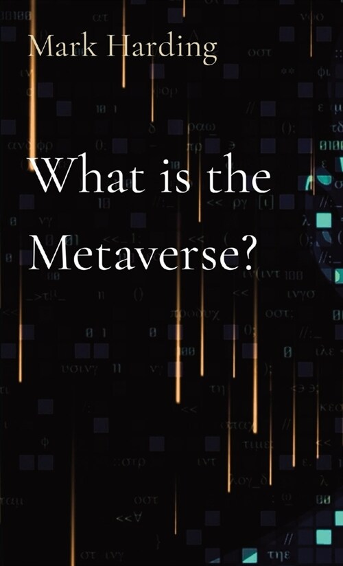 What is the Metaverse? (Paperback)