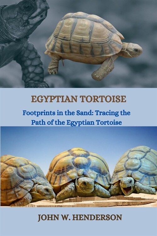 Egyptian Tortoise: Footprints in the Sand: Tracing the Path of the Egyptian Tortoise (Paperback)