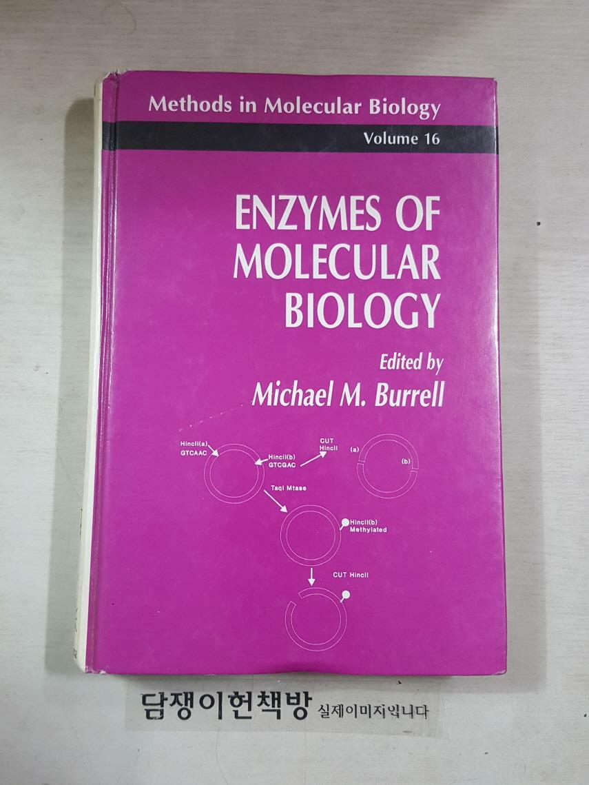 [중고] Enzymes of Molecular Biology (Paperback, 1993)