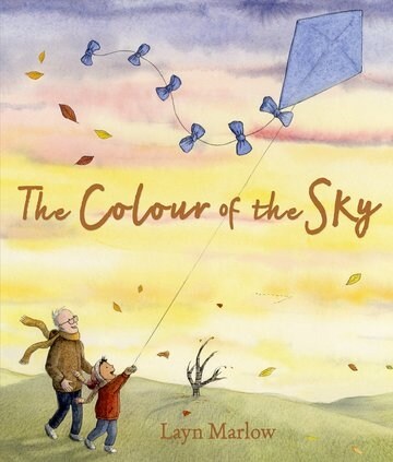 The Colour of the Sky (Paperback)