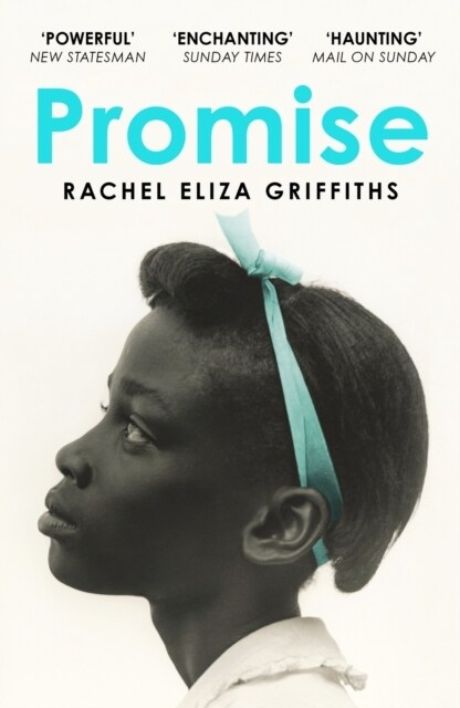 Promise (Paperback)