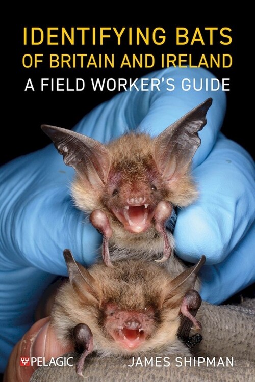 Identifying Bats of Britain and Ireland : A Field Worker’s Guide (Paperback)