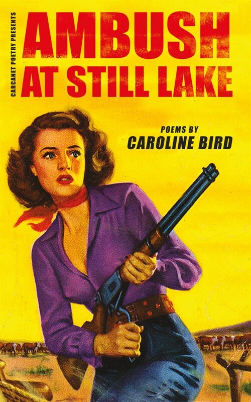 Ambush at Still Lake (Paperback)