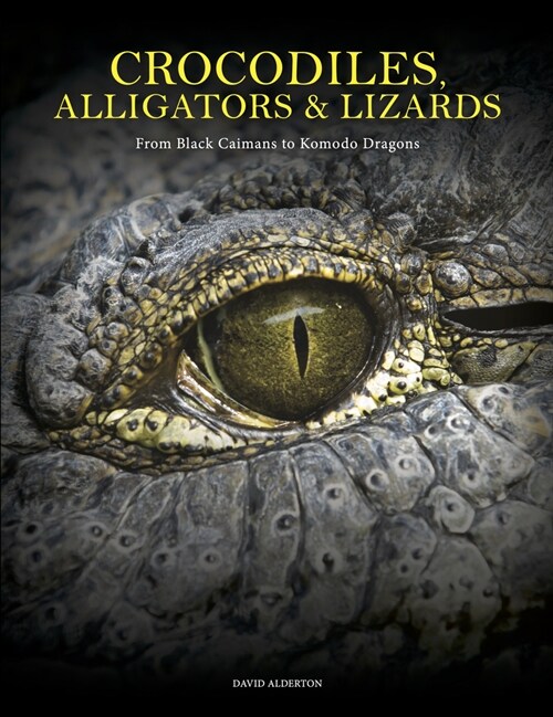Crocodiles, Alligators & Lizards : From Black Caimans to Komodo Dragons (Hardcover)