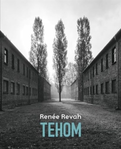 Tehom (Abyss) (Greek language text) (Paperback)