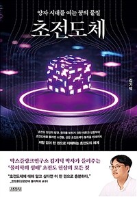 초전도체 =양자 시대를 여는 꿈의 물질 /Superconductor 