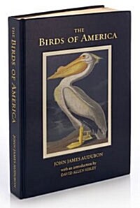 Birds of America (Hardcover)