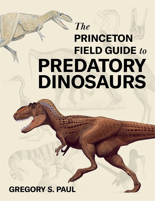 The Princeton Field Guide to Predatory Dinosaurs (Hardcover)