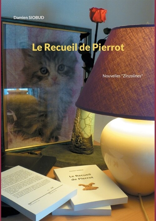 Le Recueil de Pierrot: Nouvelles Zinzolines (Paperback)