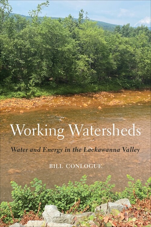 Working Watersheds: Water and Energy in the Lackawanna Valley (Paperback)