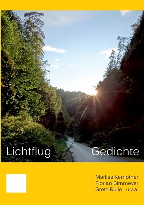 Lichtflug: Gedichte (Paperback)