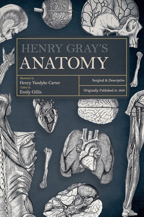 Henry Grays Anatomy: Descriptive and Surgical (Paperback)