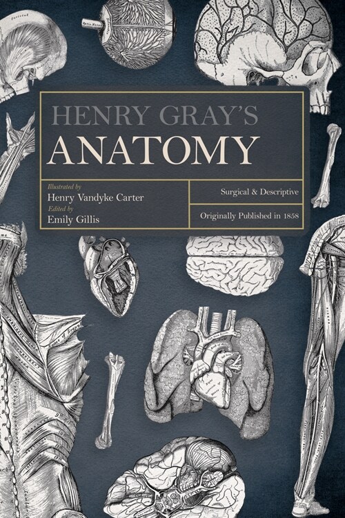 Henry Grays Anatomy: Descriptive and Surgical (Hardcover)