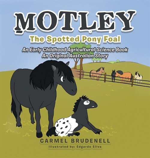 Motley: The Spotted Pony Foal (Hardcover)