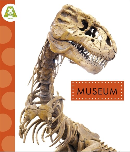 Museum (Hardcover)