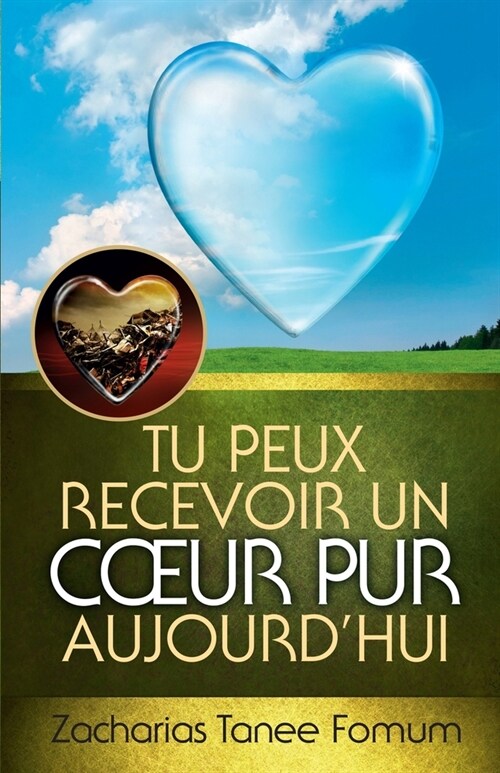 Tu peux recevoir un coeur pur (Paperback)