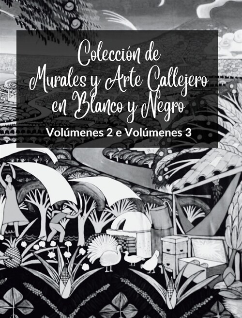 Colecci? de Murales y Arte Callejero en Blanco y Negro - Vol?enes 2 y 3: Dos libros fotogr?icos sobre arte y cultura urbanos (Hardcover)