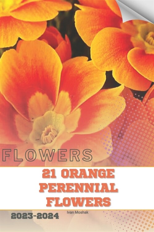 21 Orange Perennial Flowers: Become flowers expert (Paperback)