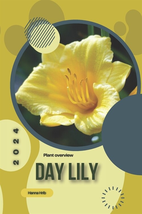 Day Lily: Simply beginners guide (Paperback)