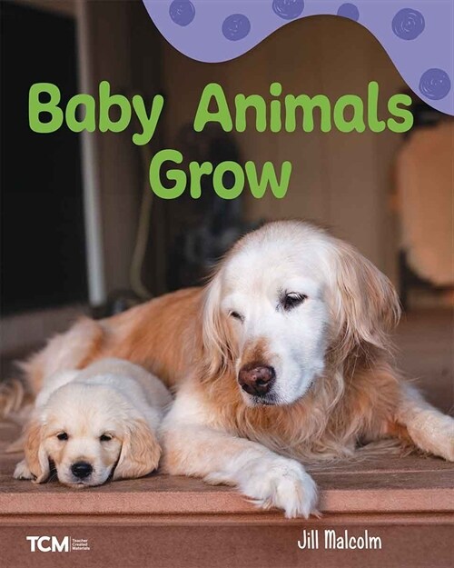 Baby Animals Grow: A Wordless Nonfiction Book (Paperback)