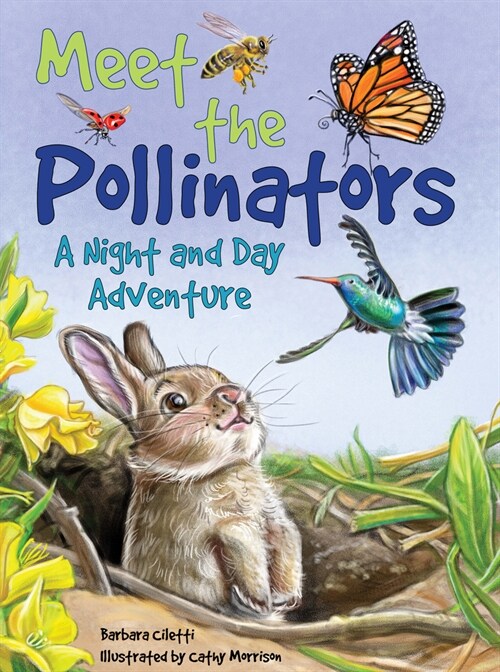 Meet the Pollinators: A Night and Day Adventure (Hardcover)