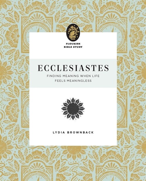 Ecclesiastes: Finding Meaning When Life Feels Meaningless (Paperback)