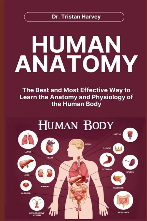 Human Anatomy: The Best and Most Effective Way to Learn the Anatomy and Physiology of the Human Body (Paperback)