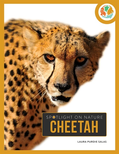 Cheetah (Hardcover)