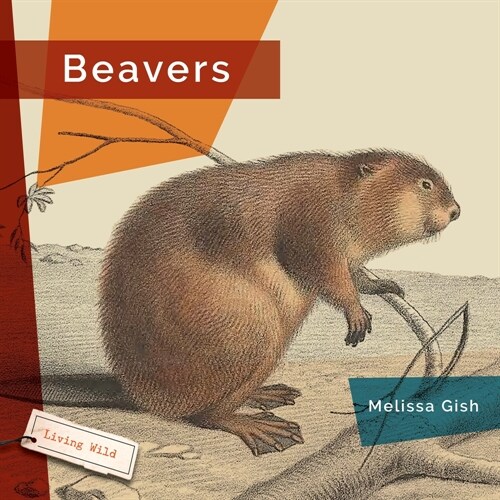 Beavers (Hardcover)