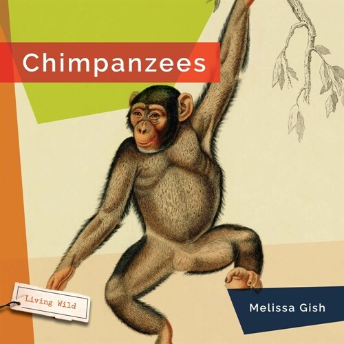 Chimpanzees (Hardcover)