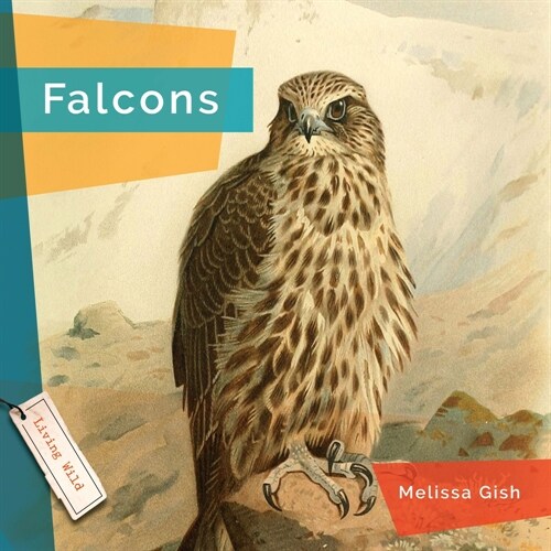 Falcons (Hardcover)