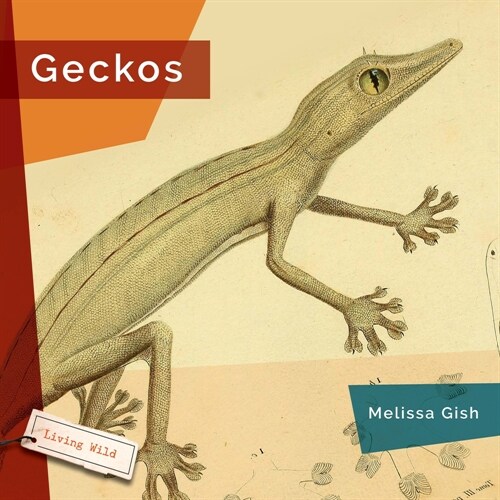 Geckos (Hardcover)