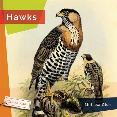 Hawks (Hardcover)