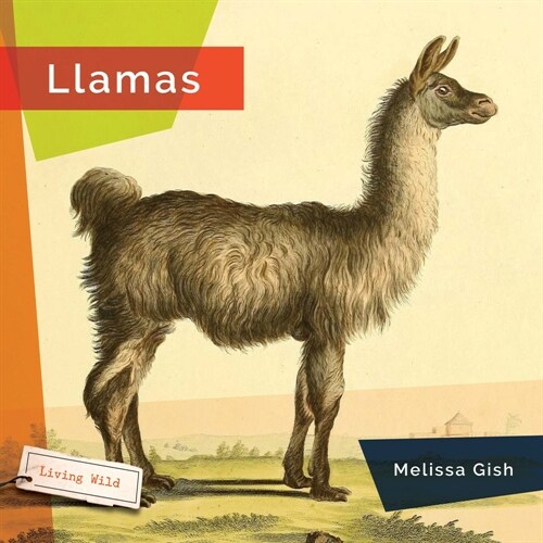 Llamas (Hardcover)