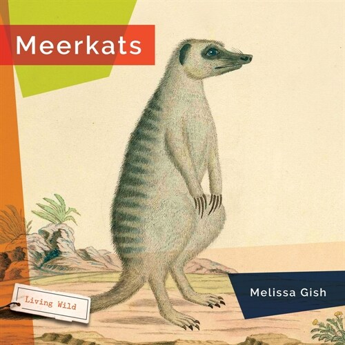 Meerkats (Hardcover)