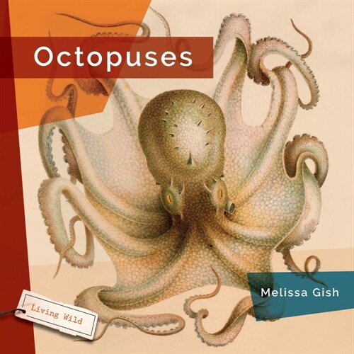 Octopuses (Hardcover)