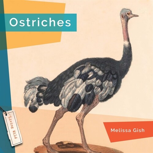 Ostriches (Hardcover)