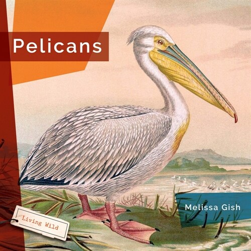 Pelicans (Hardcover)