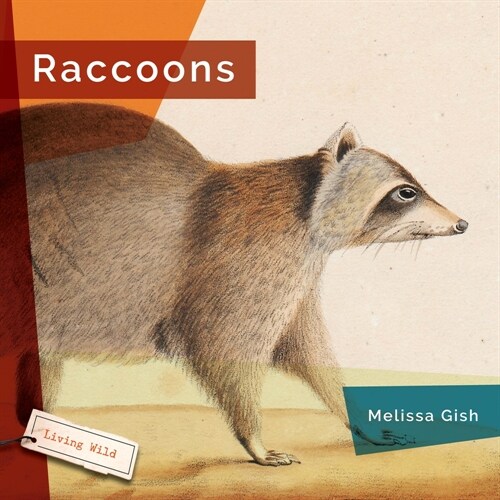Raccoons (Hardcover)
