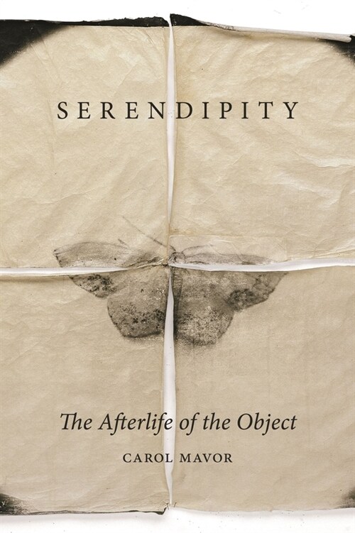 Serendipity : The Afterlife of the Object (Hardcover)