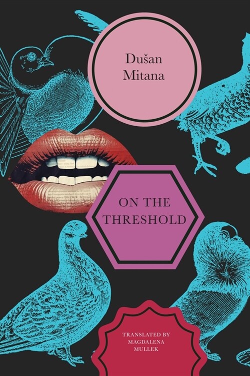 On the Threshold : Short Stories (Hardcover)