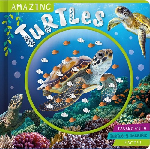 Amazing Turtles (Board Books)