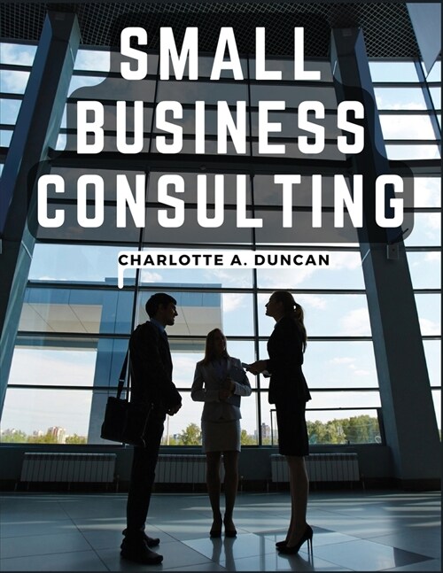 Small Business Consulting: A Roadmap to Personal Growth and Success (Paperback)