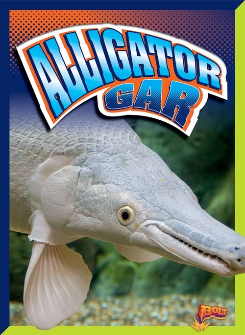 Alligator Gar (Hardcover)