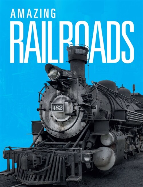 Amazing Railways (Hardcover)