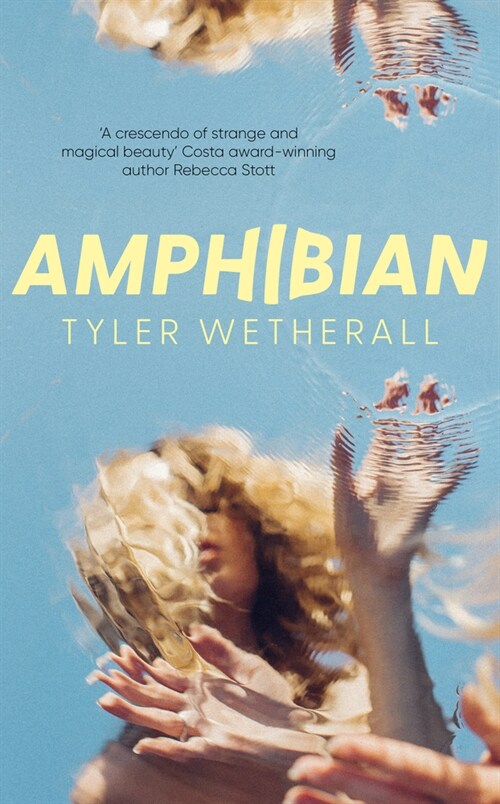 Amphibian (Paperback)