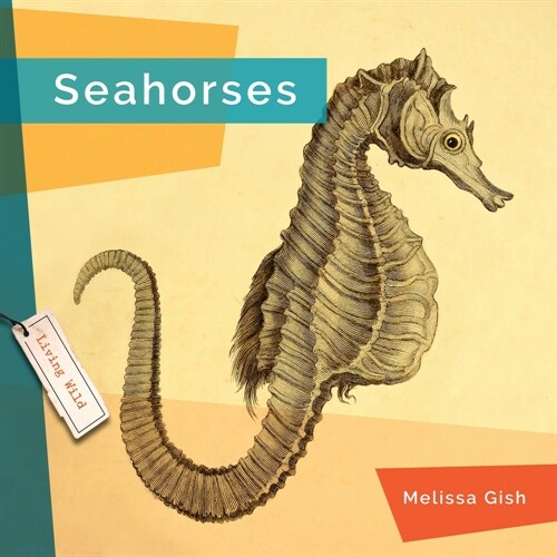 Seahorses (Hardcover)