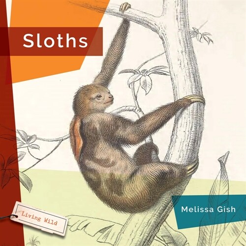 Sloths (Hardcover)