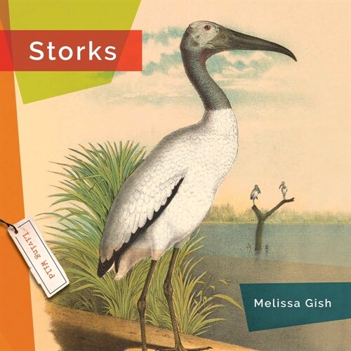 Storks (Hardcover)